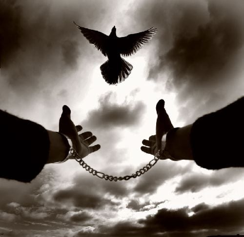 Özgür olduğunu unutanlara “siz özgürsünüz” hatırlatması