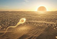 400 trilyonda birsiniz